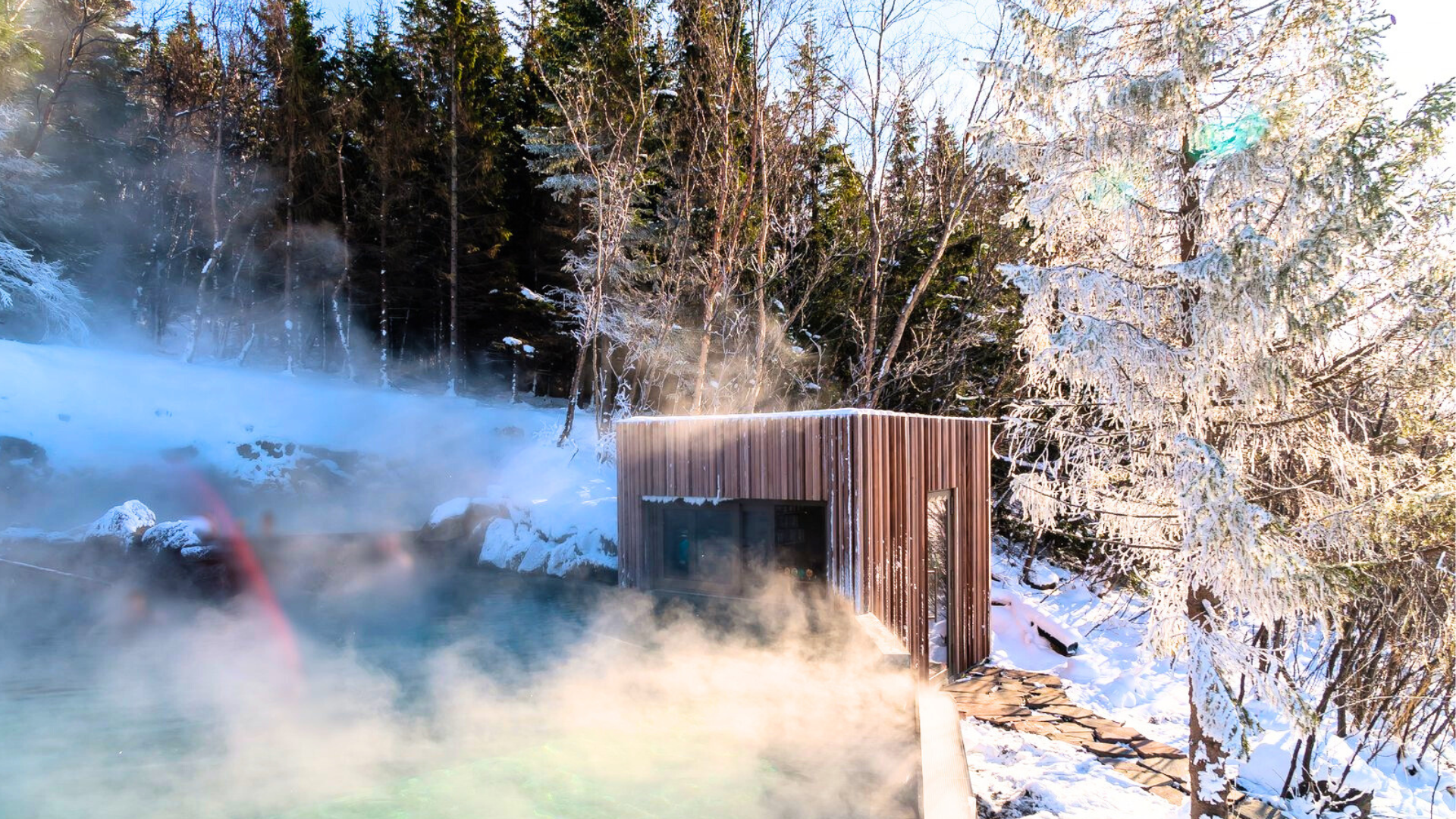 Forest Lagoon IJsland