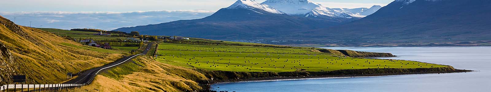 Mooiste plekken IJsland