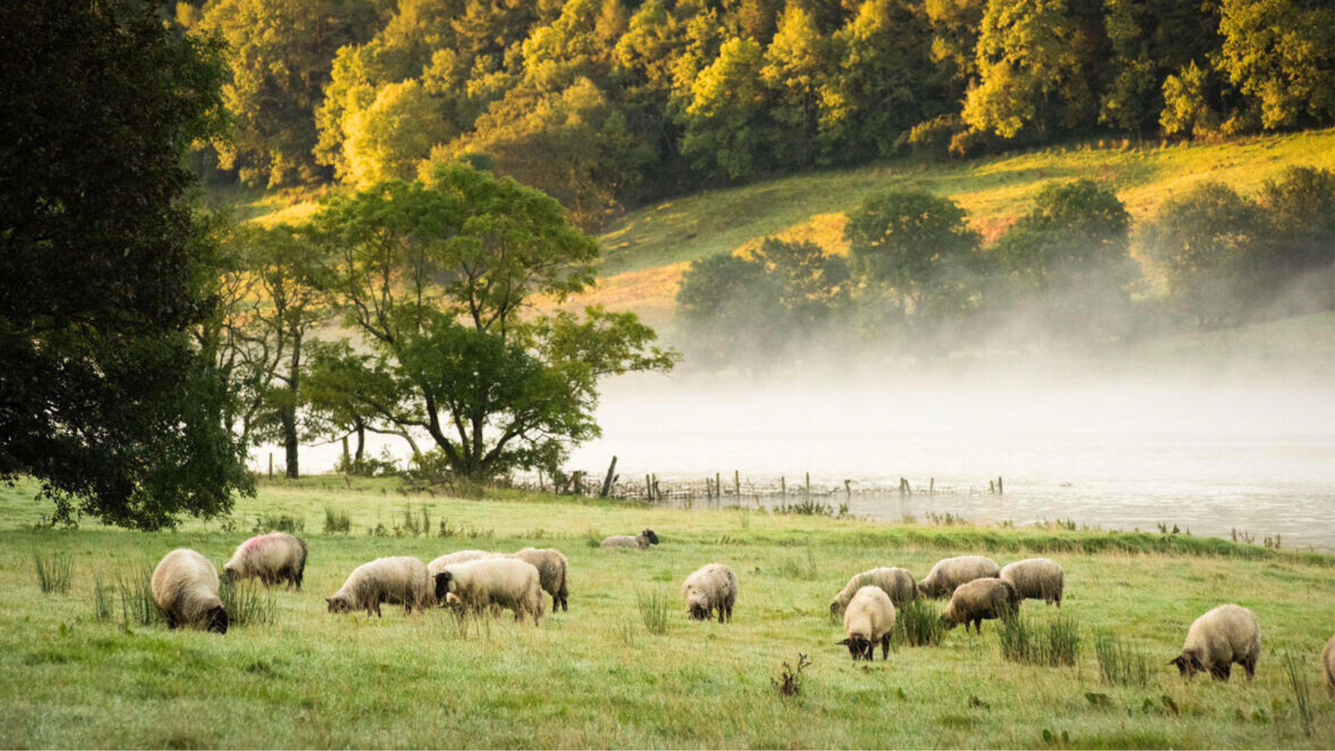 Klimaat Ierland zomer