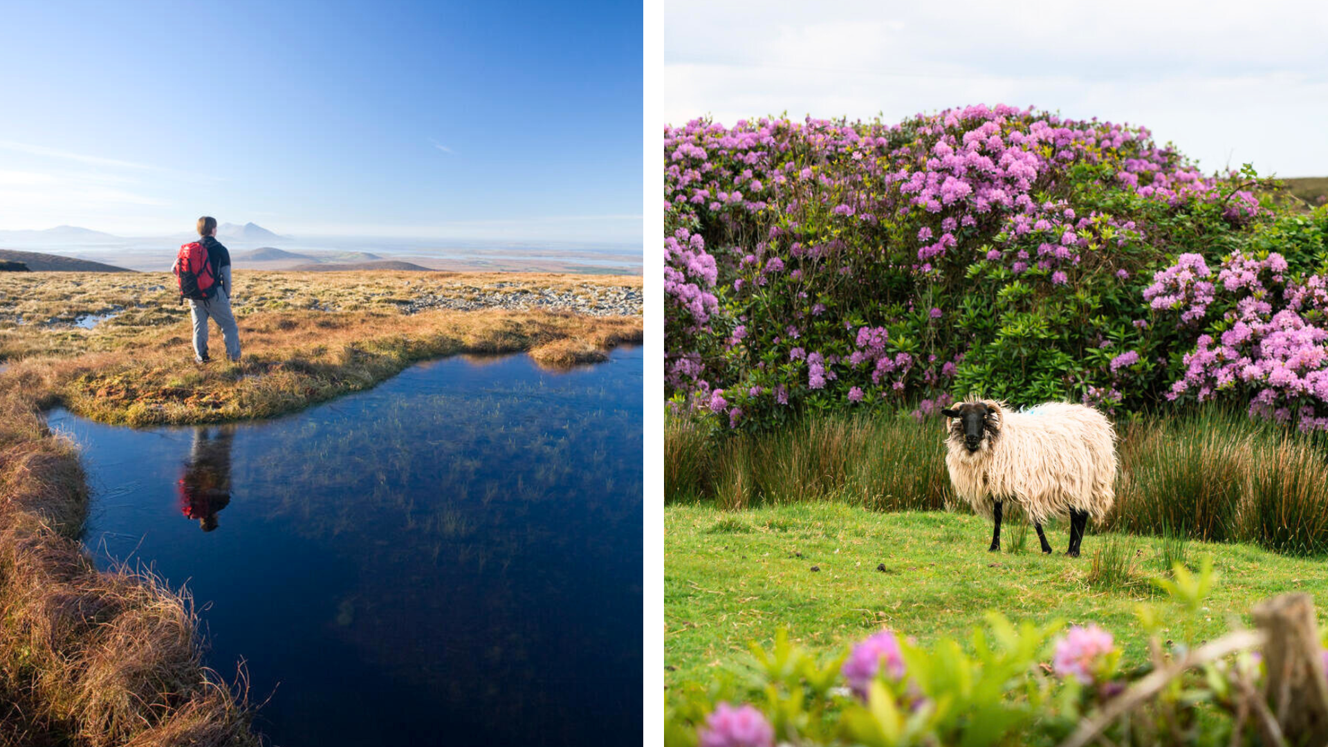 Rondreis Ierland Voigt Travel