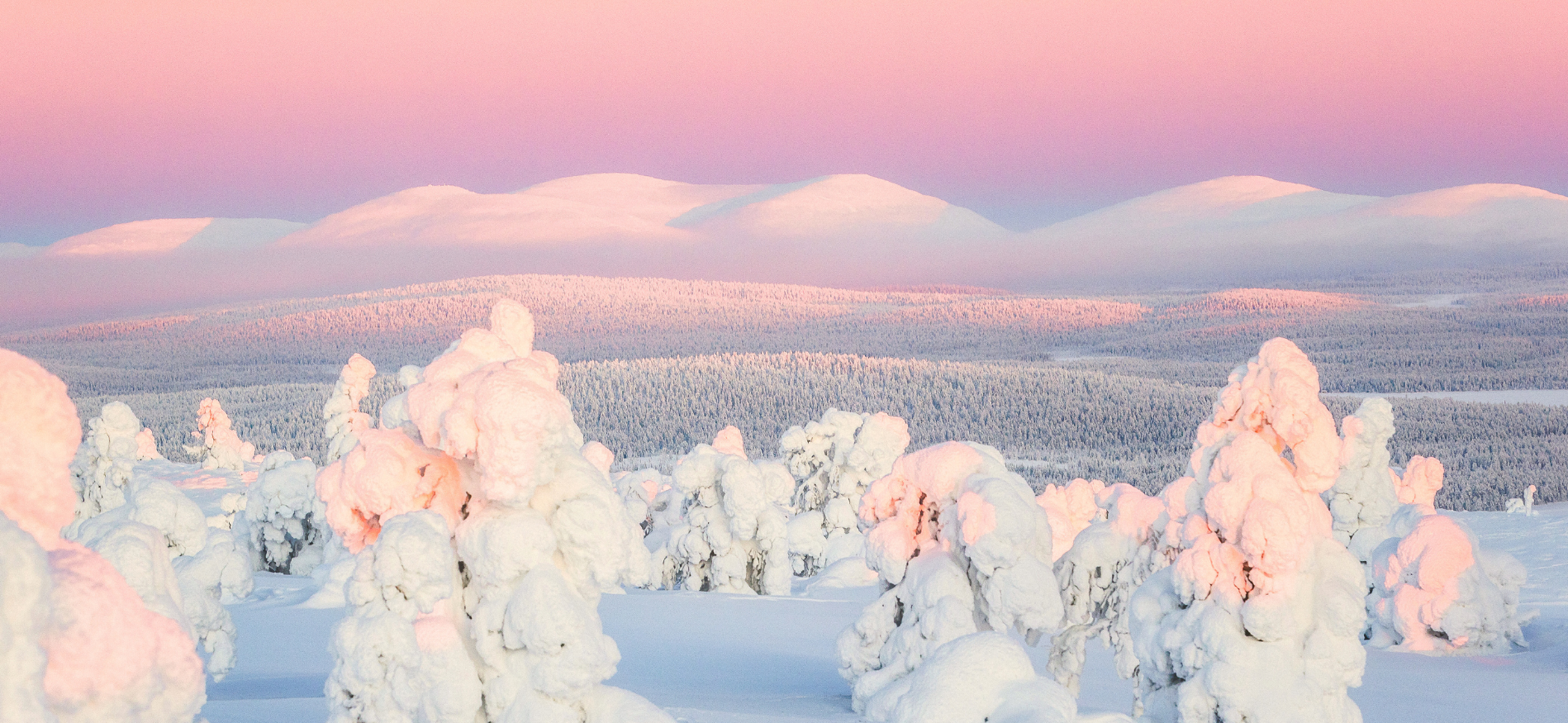 Alles over Lapland