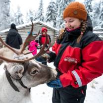 rendier incentive lapland reis