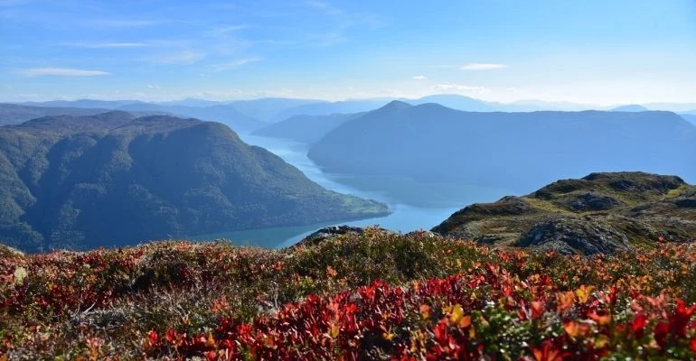 Fjord Bergen