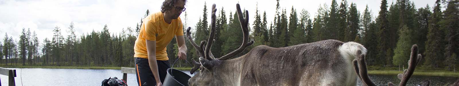 Lapland zomer: een rondreis door het Pure Noorden