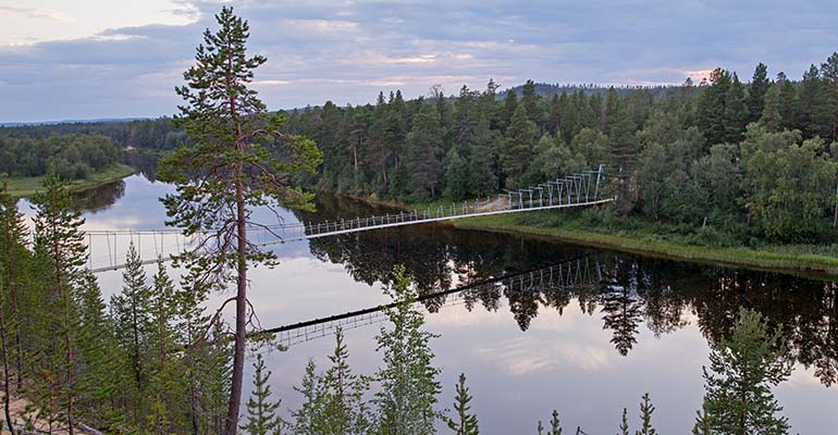 Oulanka national park Fins Lapland