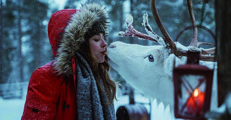 rendier kus in Lapland