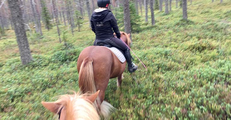 paardrijden in Ruka - Kuusamo