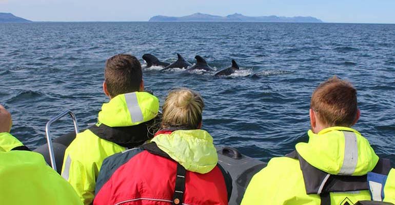 walvissen noorwegen