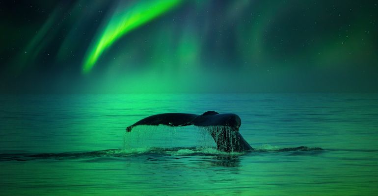 Vesterålen winterlandschap