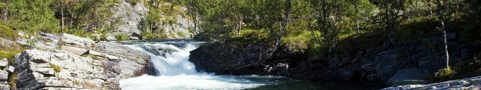 Rondane National Park Noorwegen
