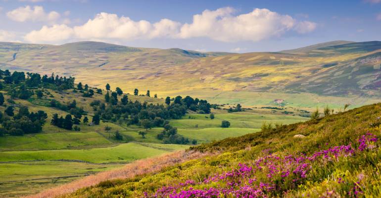 Cairngorms National Park