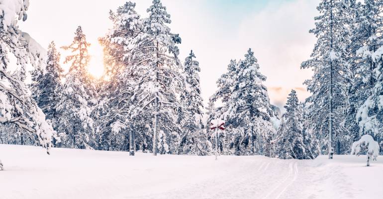 Sneeuwscooteren in Zweden in Dalarna