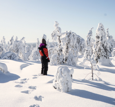 Lapland Incentives