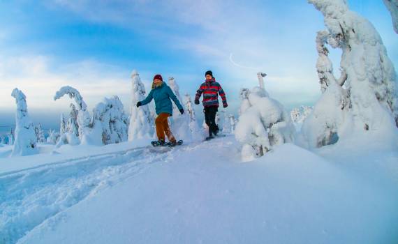 lapland groepsreizen in de winter