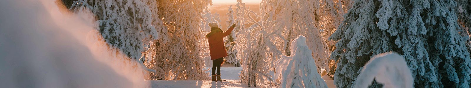 Aanbiedingen Finland winter