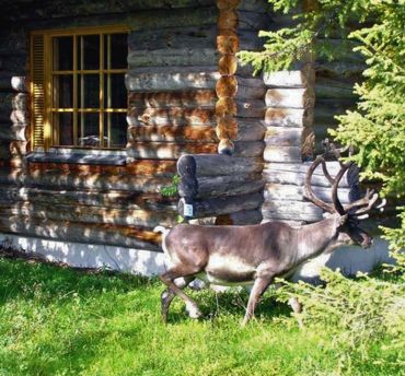 vakantiehuis Lapland