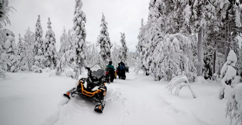ollila lodge