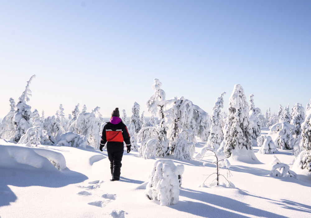 Lapland winter