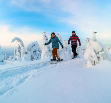 Short Breaks naar Lapland