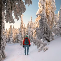 Reisspecialisten IJsland winter