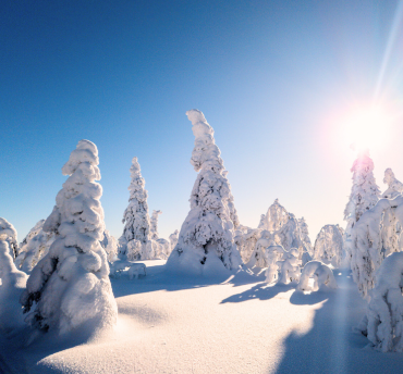 Alles over het winterevent