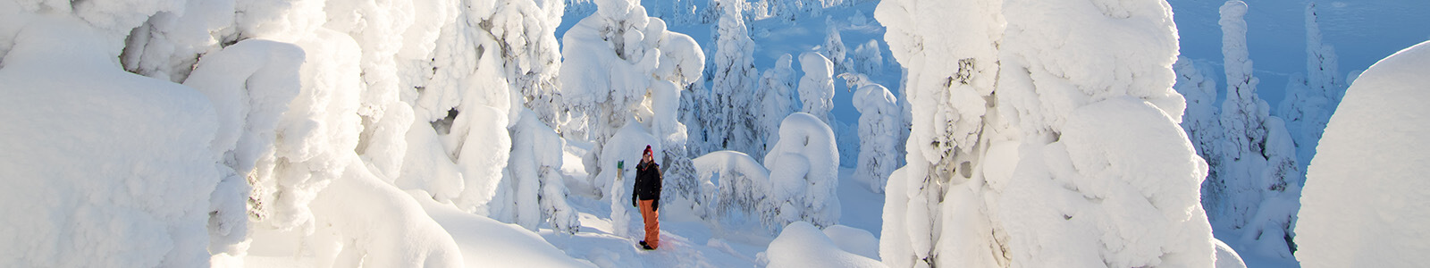 Deelnemers Voigt Travel WinterEvent 2019