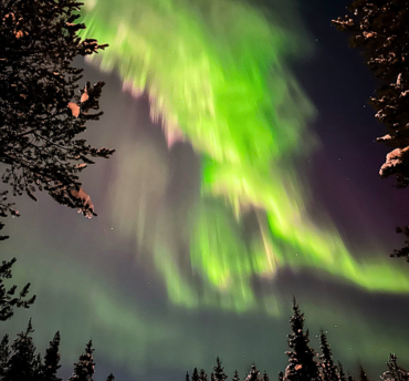 Onze Noorderlicht app