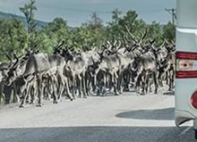 Camperreizen - De vrijheid van een huis op wielen