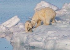 Spitsbergen - Bekijk de reizen