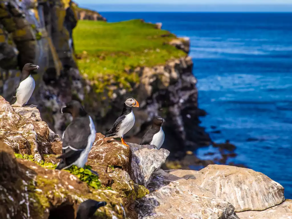 IJsland reizen in de zomer