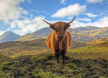 Fly & Drive - Inclusief vlucht, huurauto en authentiek verblijf