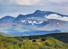 Fly & drive - inclusief vlucht, huurauto en authentiek verblijf