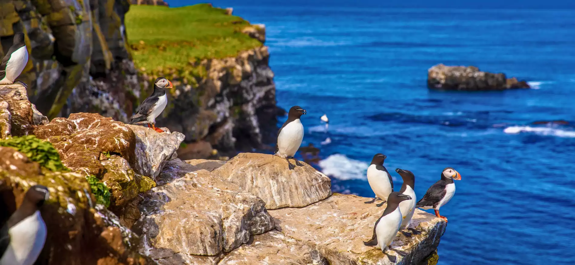 Veelgestelde vragen IJsland